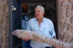 LQ ofrendaVirgendelPino 5547