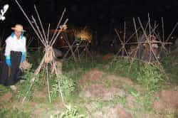 LQ Veneguera29EdBelenVivienteDSC 4219