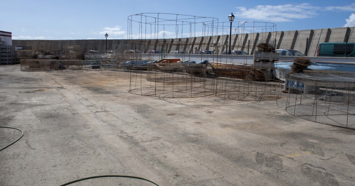 Los pescadores de Playa de Mogán recuperan espacio de trabajo en el muelle