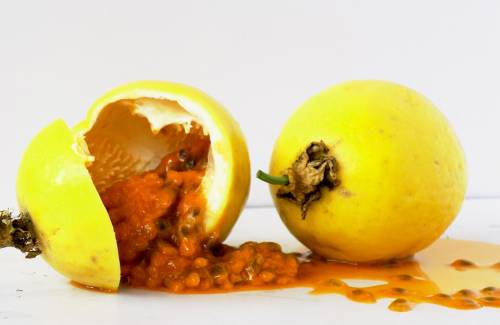 Mogán promueve el cultivo de maracuyá entre los agricultores del municipio