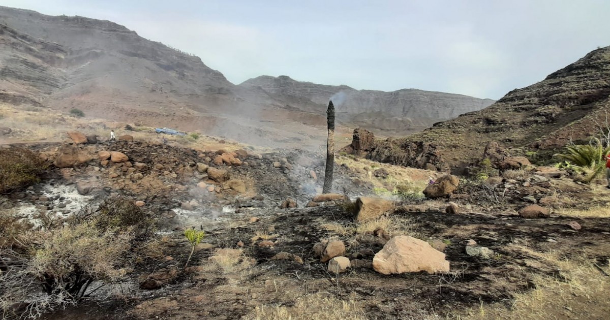 La Policía Local de Mogán detiene al presunto autor del conato de incendio de Veneguera