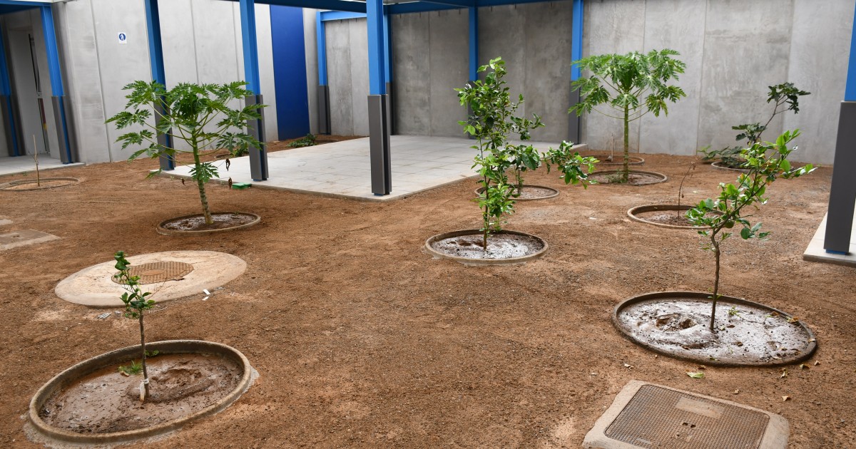 La Escuela Infantil de Arguineguín contará con espacios para la enseñanza del cuidado del medio ambiente