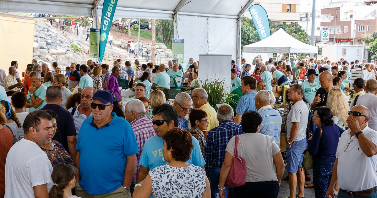 La 3ª Feria del Aguacate de Invierno de Mogán ha puesto a la venta más de 5.300 kilos de ejemplares
