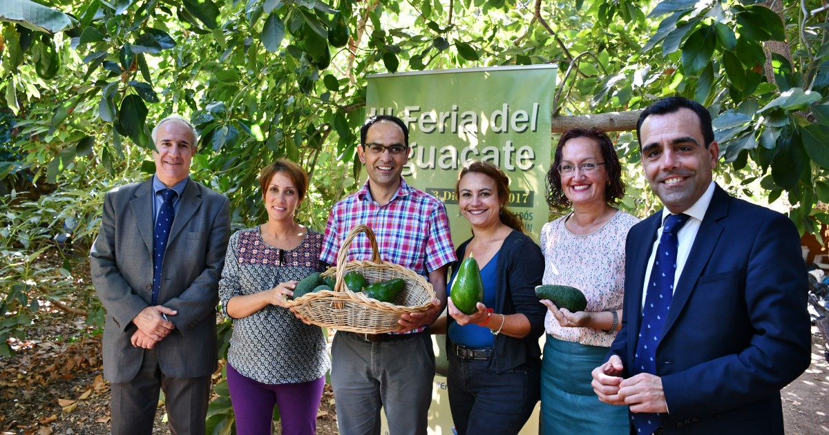 La III Feria del Aguacate de Invierno llegará a Arguineguín el próximo 3 diciembre