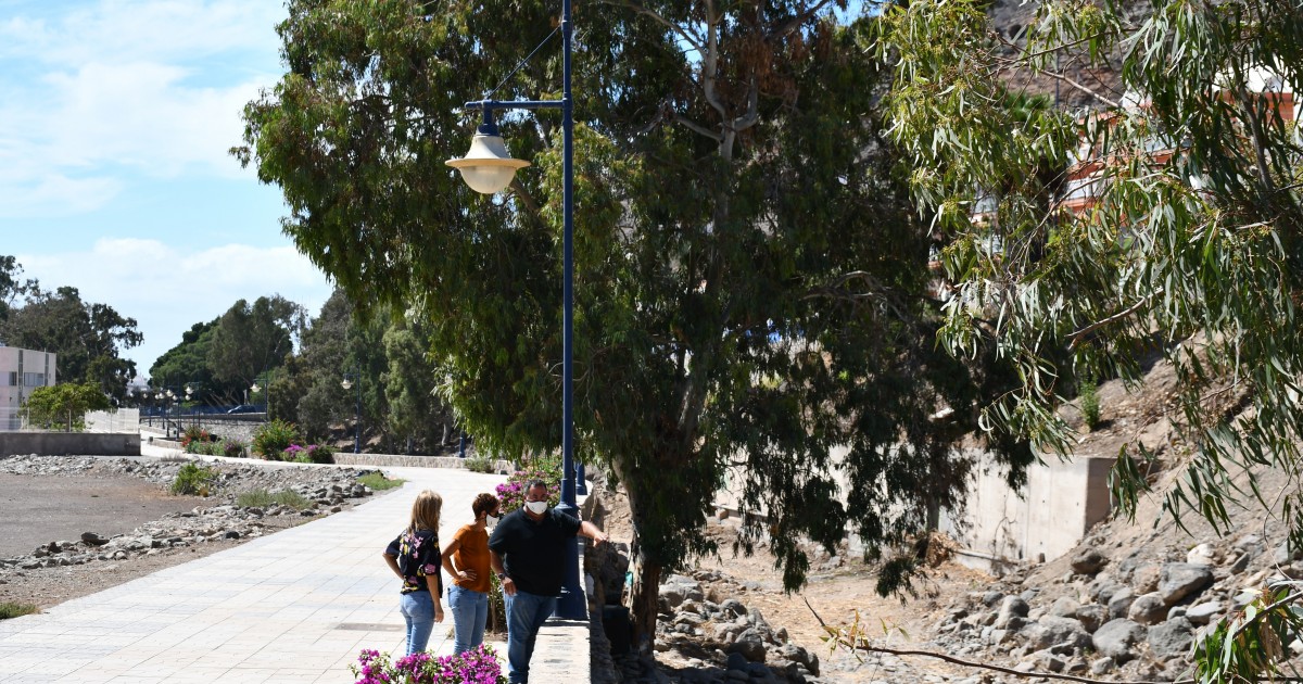 El Ayuntamiento realiza una limpieza integral del barranco en Playa de Mogán