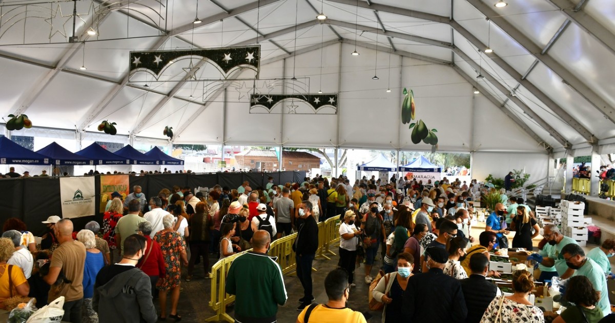 El aguacate moganero levanta pasiones  con 4.000 kilos vendidos en su feria