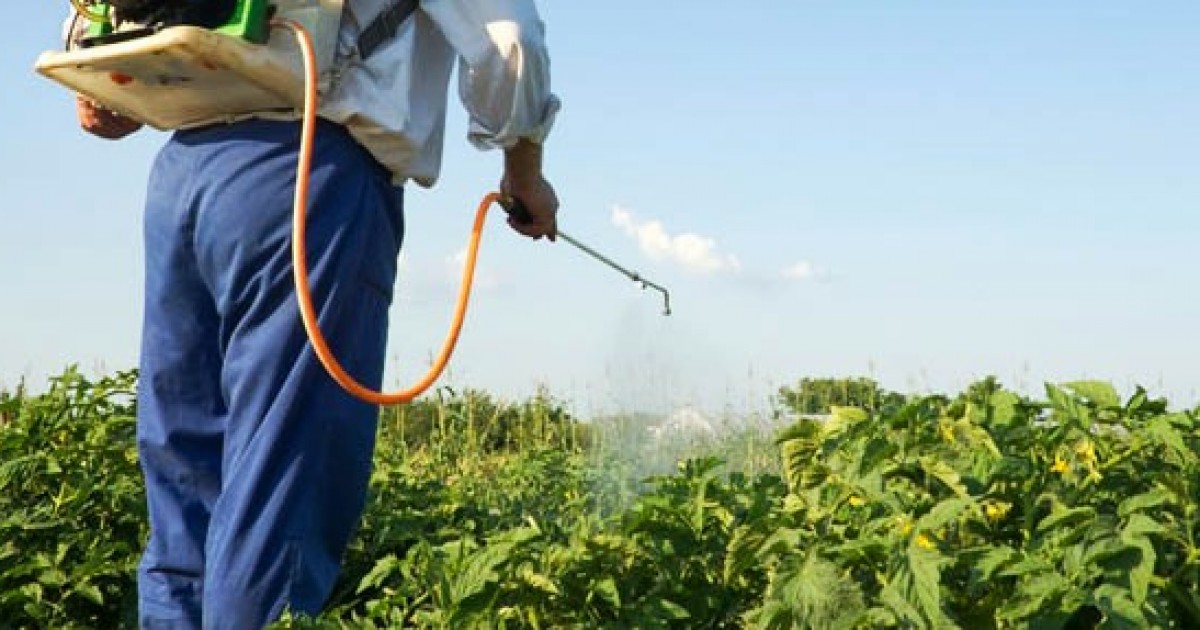Mogán celebra un curso de manipulador de productos fitosanitarios