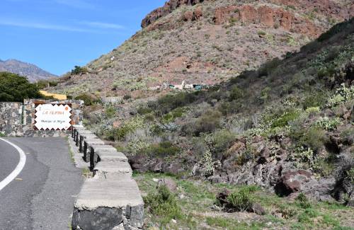 Mogán concluye la retirada de cañaverales y reforestación en Las Filipinas y El Caidero