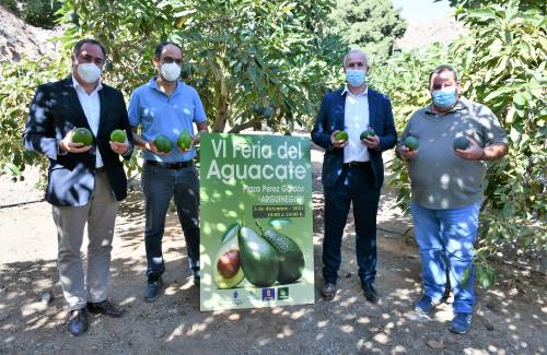 Cuatro toneladas de aguacate de Mogán  a la venta este domingo en Arguineguín