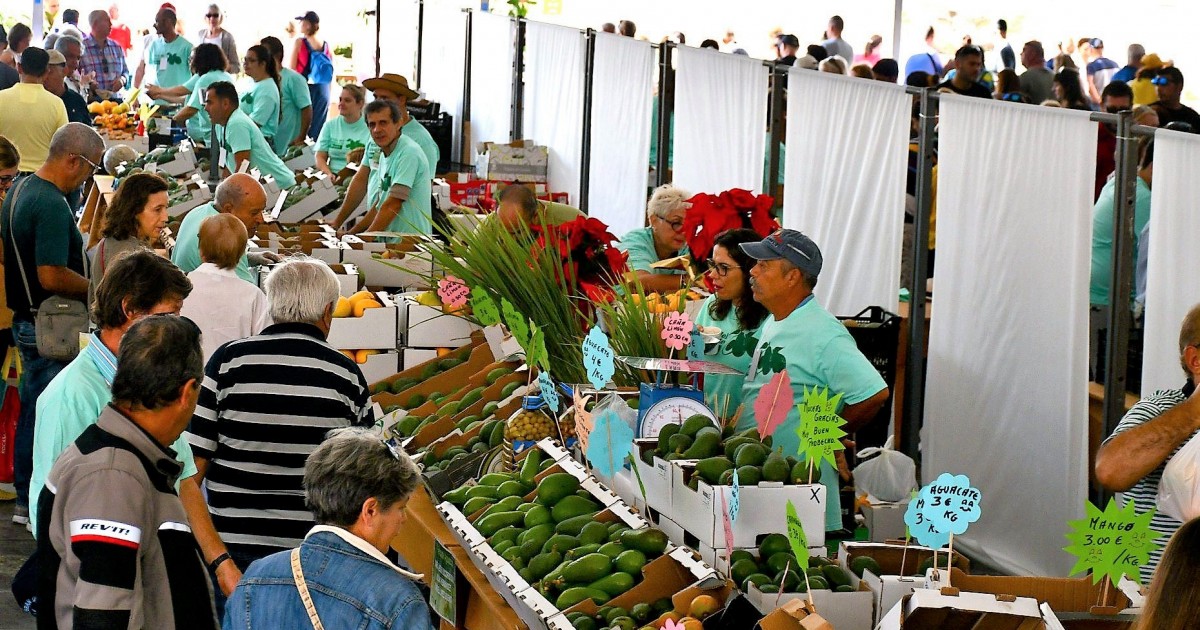 Mogán, puntero en promoción  y ayudas al sector agrícola