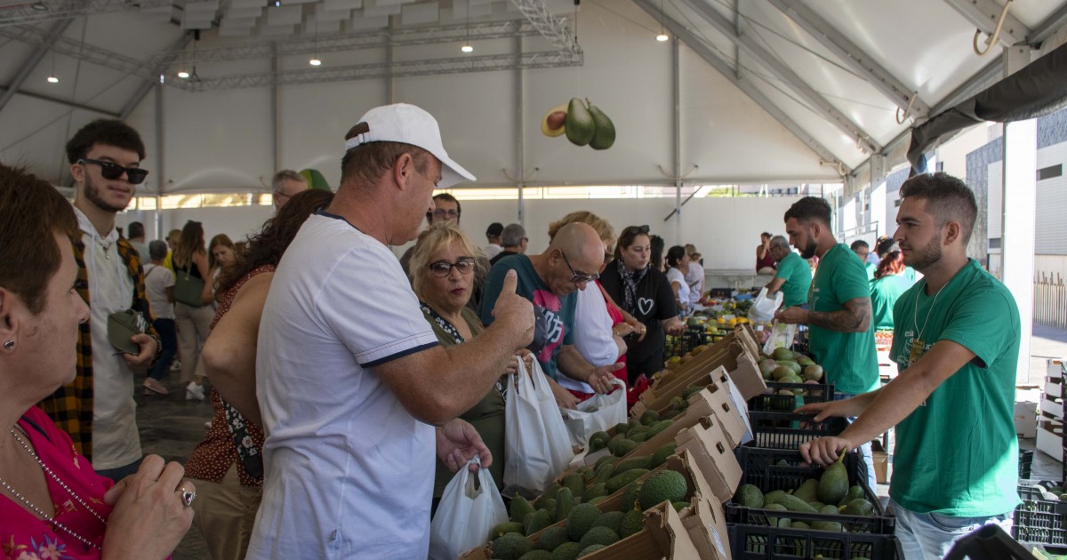 El aguacate moganero conquista en su feria de invierno de Arguineguín