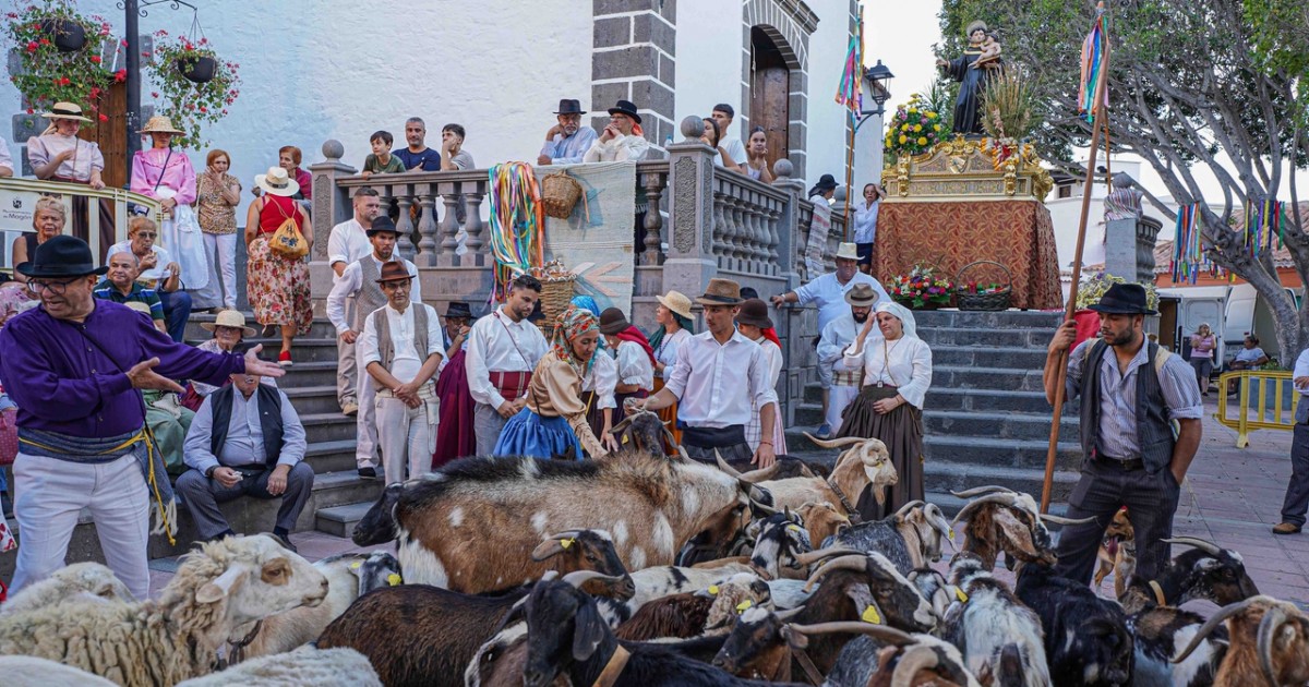 La Romería-Ofrenda a San Antonio El Chico, jolgorio y tradición con 5.000 asistentes