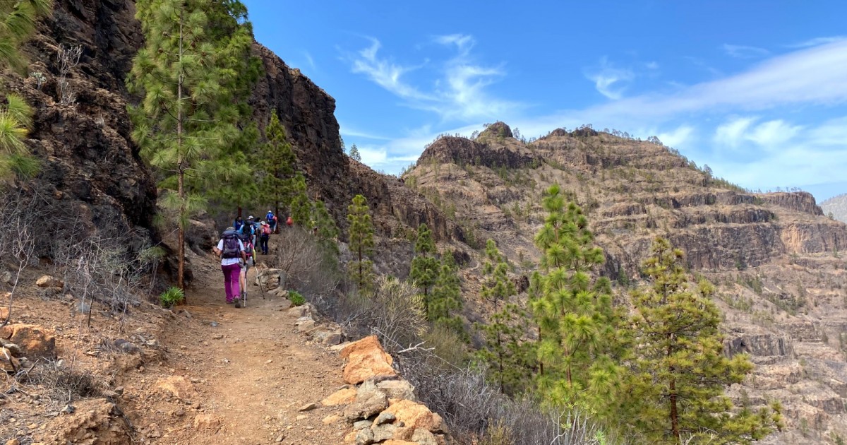 Mogán ya presume de la macrorruta 'Tamaranae: entre riscos y barrancos'