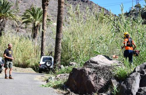 Mogán sigue apostando por la prevención de incendios con el desbroce de 4,3 hectáreas en núcleos rurales