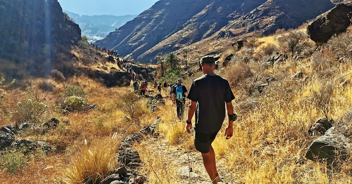 En un año Mogán organiza cuatro jornadas   divulgativas de la macrorruta 'Tamaranae: entre Riscos y Barrancos'