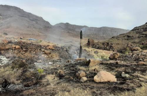 La Policía Local de Mogán detiene al presunto autor del conato de incendio de Veneguera