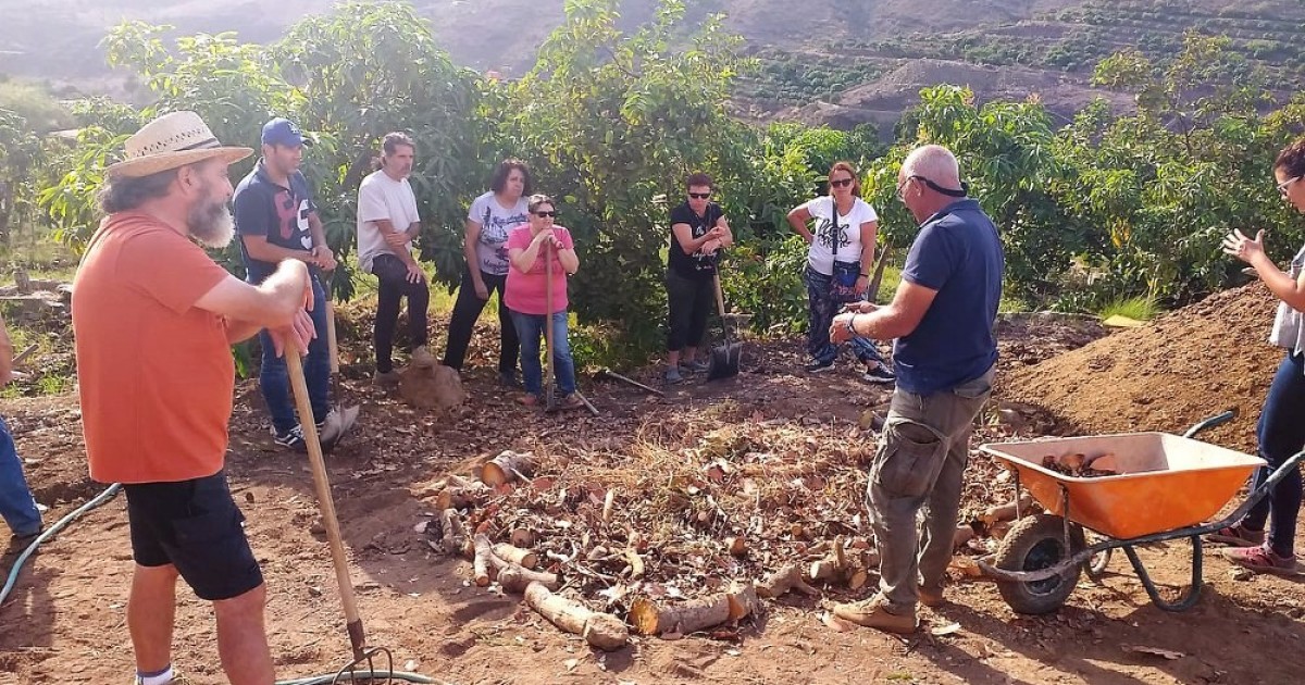 Cerca de 600 personas participan en los cursos de agricultura de Mogán desde 2019