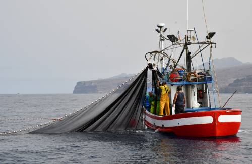 La reapertura de la pesquería del atún blanco alivia a los marineros y marineras  de Mogán