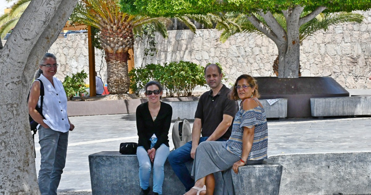 El Ayuntamiento de Mogán y los voluntarios de 'Proyecto C.E.S' aclaran la situación de las colonias felinas del municipio