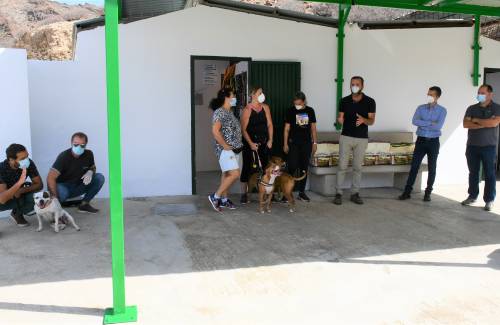 Todos los animales del albergue municipal de Mogán han sido adoptados durante el estado de alarma