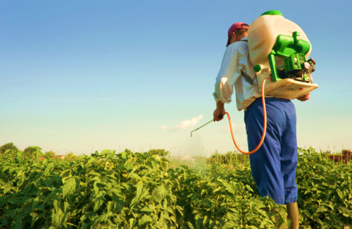 Mogán celebrará un curso de  manipulador de productos fitosanitarios  del 9 al 16 de diciembre
