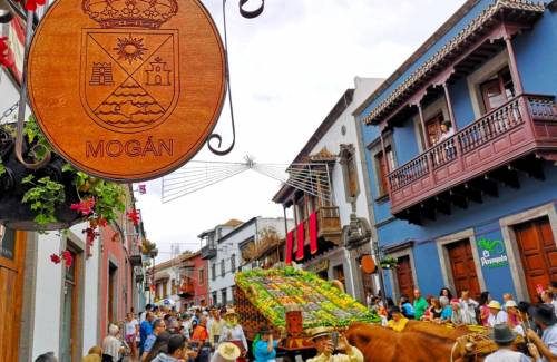 Mogán regresa a El Pino con sus mejores productos de la tierra y el mar
