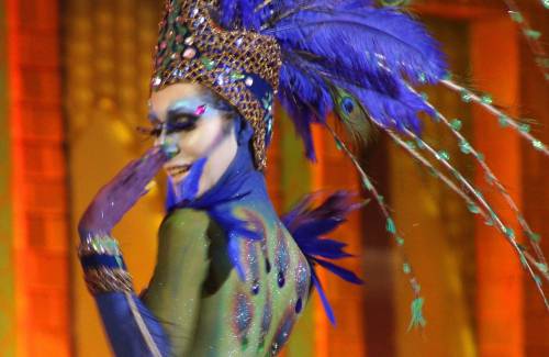 El Carnaval Costa Mogán 2018 arrancará el próximo martes 20 con el Concurso de Maquillaje Corporal