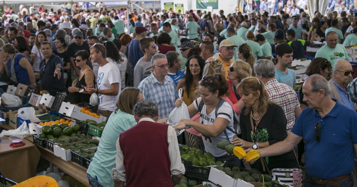 Mogán abre el plazo de inscripción para participar en la III Feria del Aguacate de Invierno