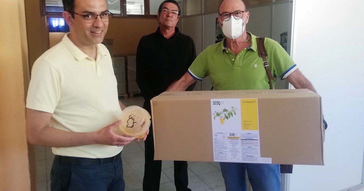 119 agricultores de Mogán reciben mosqueros subvencionados por el Ayuntamiento